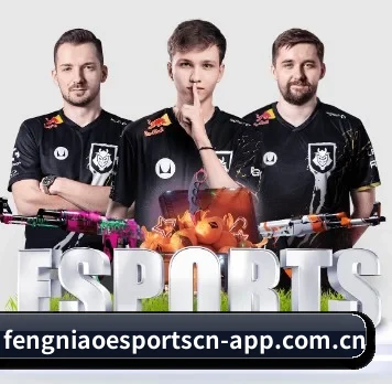国际化进程 | fengniao esports